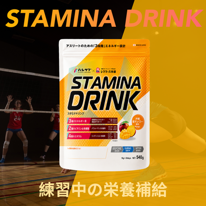 STAMINA DRINK スタミナドリンク（8月1日以降発送開始）